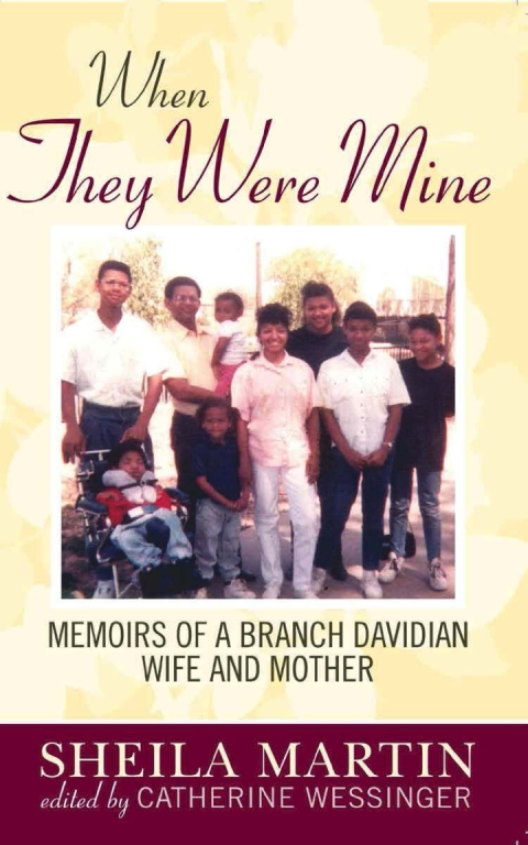 Cover image for book When They Were Mine