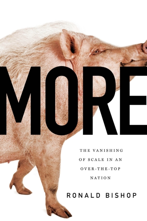 Cover image for book More