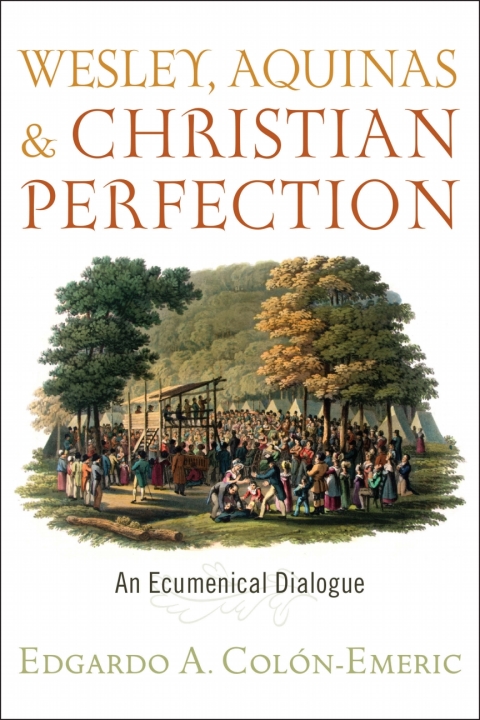 Cover image for book Wesley, Aquinas, and Christian Perfection