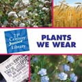 Plants We Wear - Rosenberg, Pam