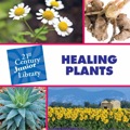 Healing Plants - Rosenberg, Pam