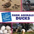 Farm Animals: Ducks - Minden, Cecilia