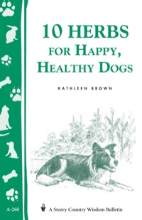 Cover image: 10 Herbs for Happy, Healthy Dogs 9781580173469