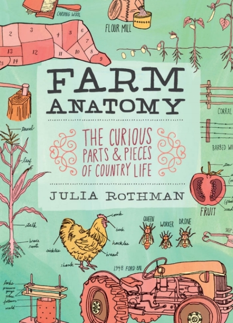 Cover image for book Farm Anatomy