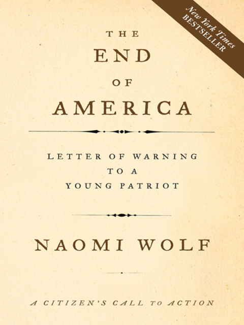 Cover image for book The End of America