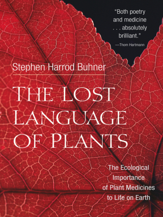 The Lost Language of Plants