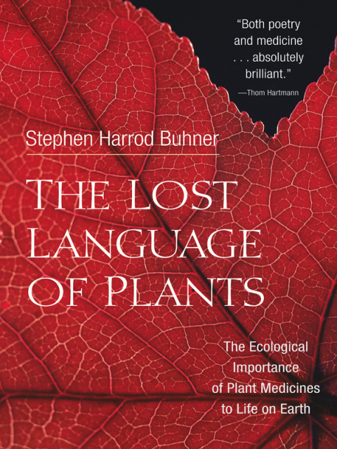 Cover image for book The Lost Language of Plants