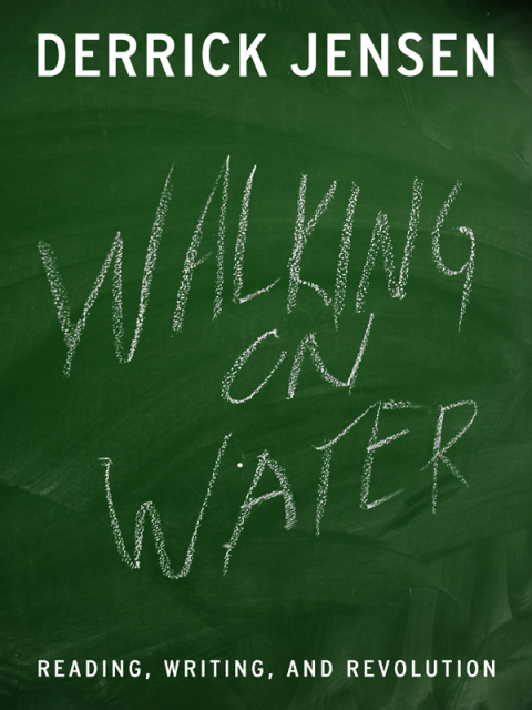 Cover image for book Walking on Water