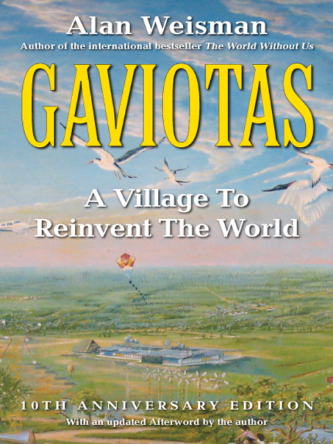 Cover image for book Gaviotas