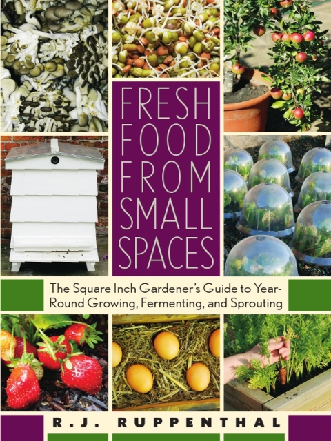 Cover image for book Fresh Food from Small Spaces