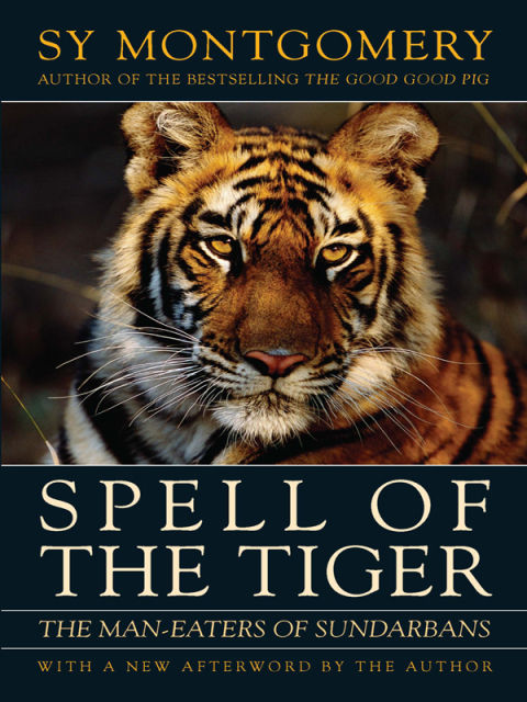 Cover image for book Spell of the Tiger