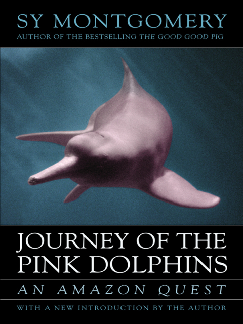 Cover image for book Journey of the Pink Dolphins