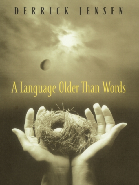 Cover image for book A Language Older Than Words