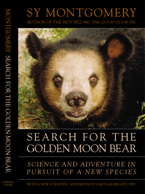 Cover image for book Search for the Golden Moon Bear