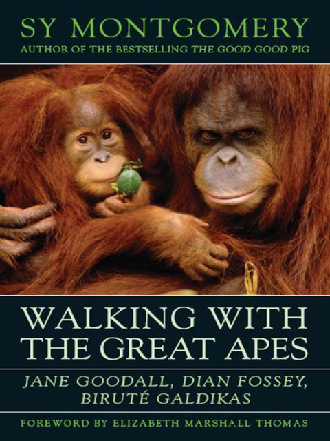 Cover image for book Walking with the Great Apes