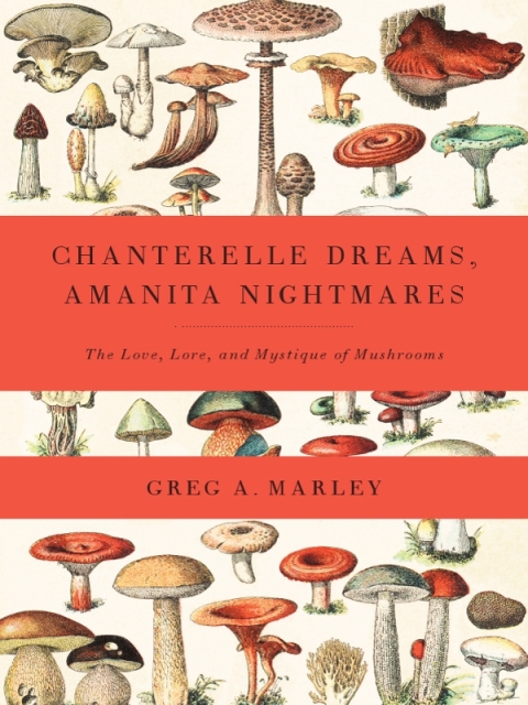 Cover image for book Chanterelle Dreams, Amanita Nightmares