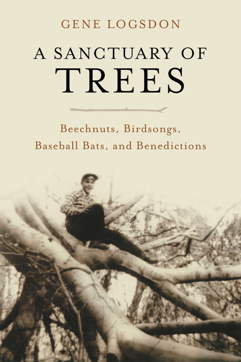 Cover image for book A Sanctuary of Trees