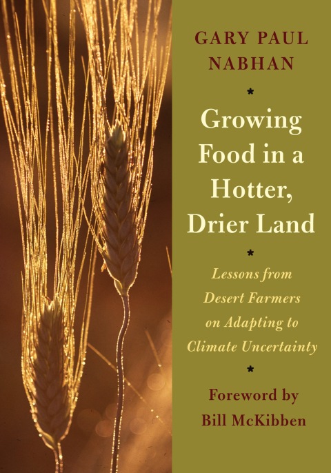 Cover image for book Growing Food in a Hotter, Drier Land