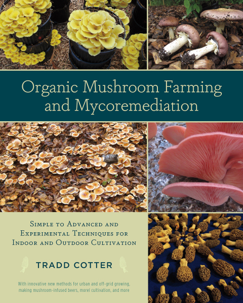 Cover image for book Organic Mushroom Farming and Mycoremediation