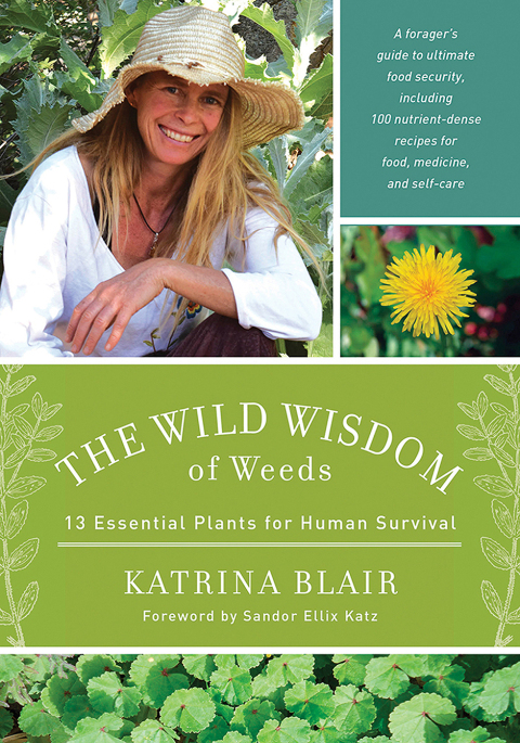 Cover image for book The Wild Wisdom of Weeds