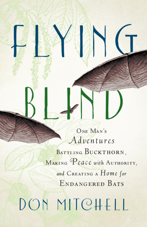 Cover image for book Flying Blind