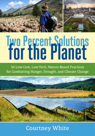 Two Percent Solutions for the Planet