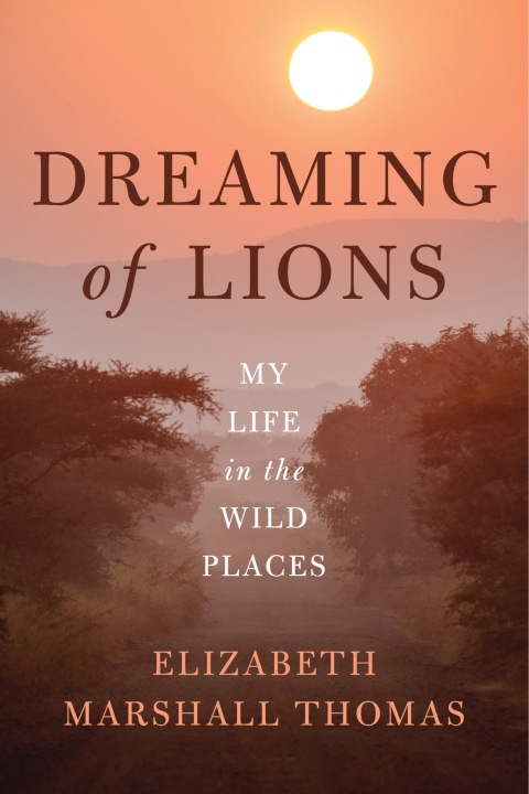 Cover image for book Dreaming of Lions