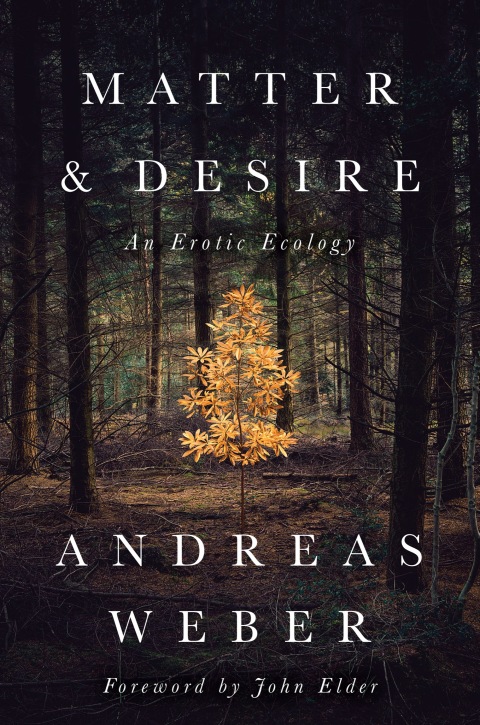 Cover image for book Matter and Desire