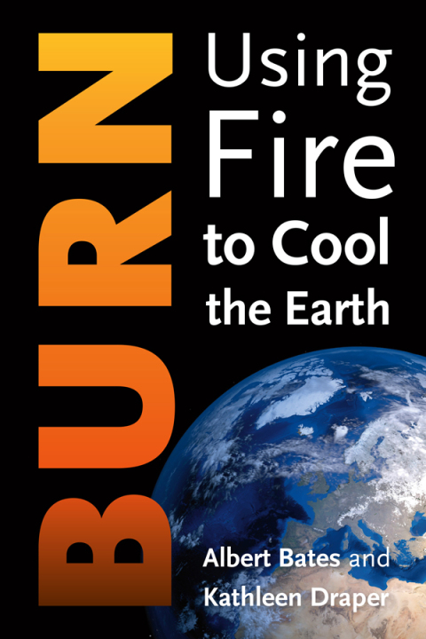 Cover image for book Burn