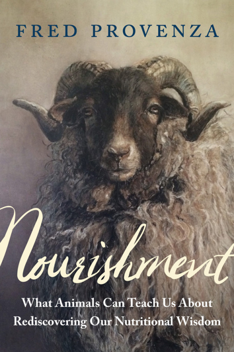 Cover image for book Nourishment