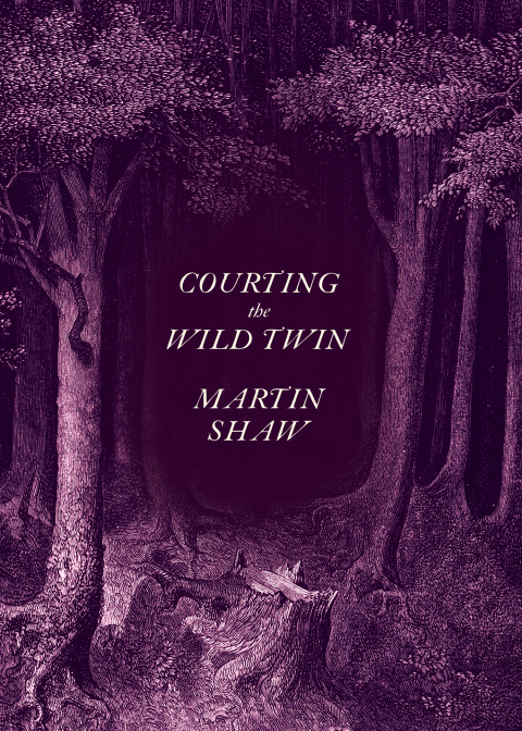 Cover image for book Courting the Wild Twin