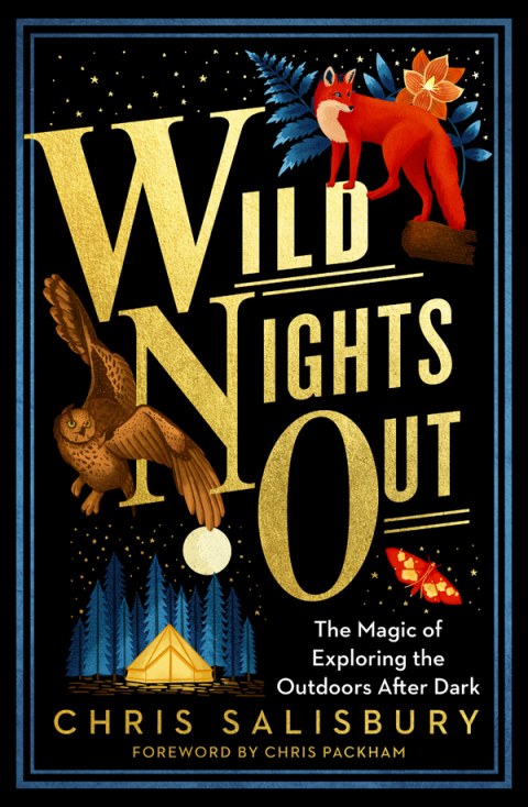 Cover image for book Wild Nights Out