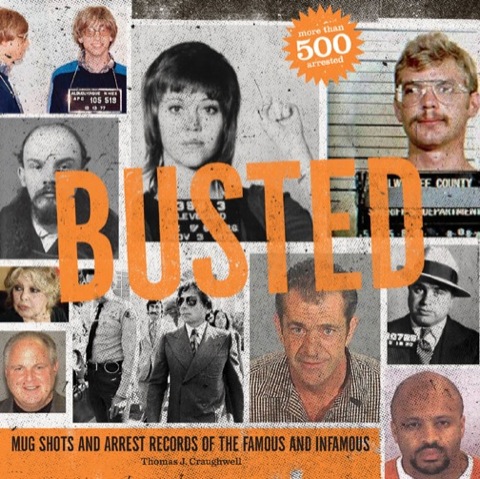 Cover image for book Busted