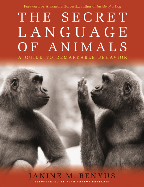 Cover image for book Secret Language of Animals