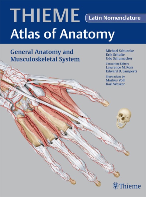 General Anatomy and Musculoskeletal System - Latin Nomencl. (THIEME Atlas of Anatomy) 