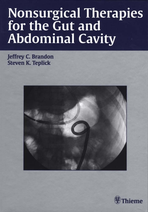 Cover image for book Nonsurgical Therapies for the Gut and Abdominal Cavity