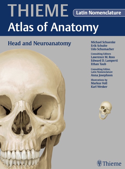Head and Neuroanatomy - Latin Nomencl. (THIEME Atlas of Anatomy) 