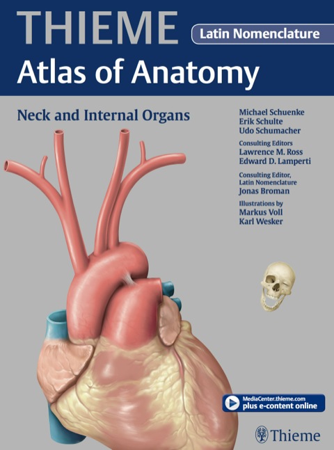 Neck and Internal Organs - Latin Nomencl. (THIEME Atlas of Anatomy) 