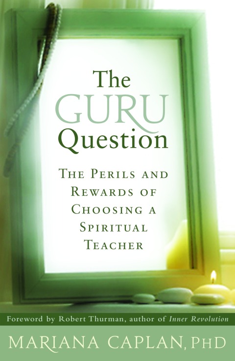 Cover image for book The Guru Question
