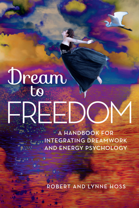 Cover image for book Dream to Freedom