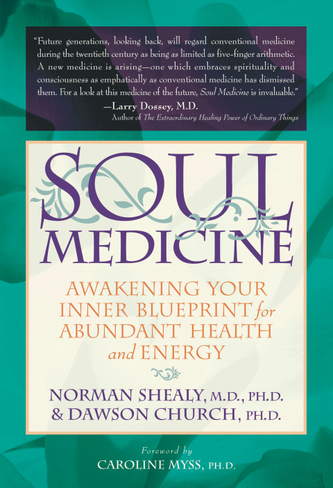 Cover image for book Soul Medicine