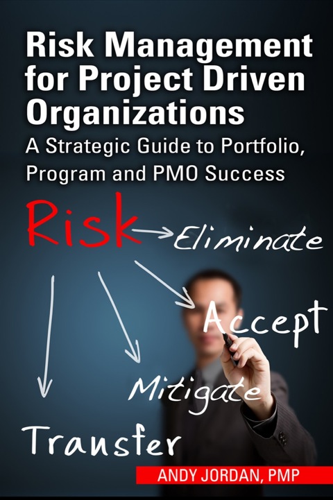 Cover image for book Risk Management for Project Driven Organizations