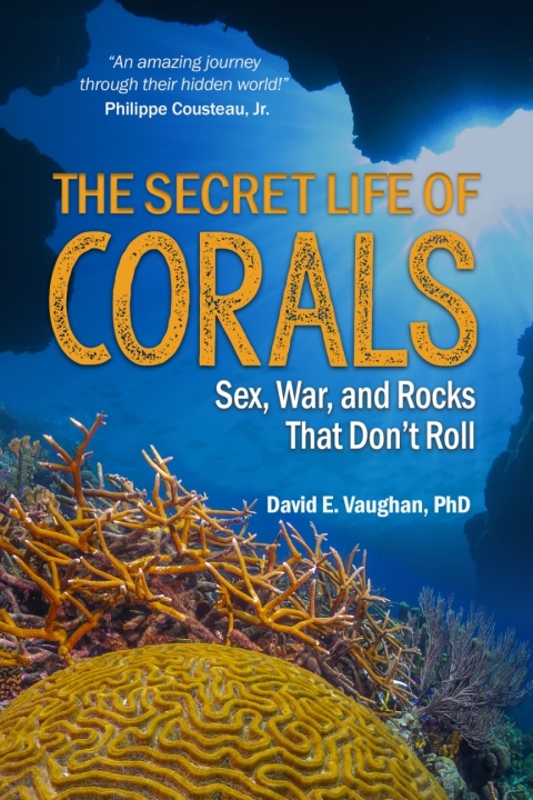 Cover image for book The Secret Life of Corals