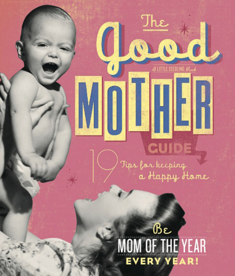 Cover image for book The Good Mother's Guide