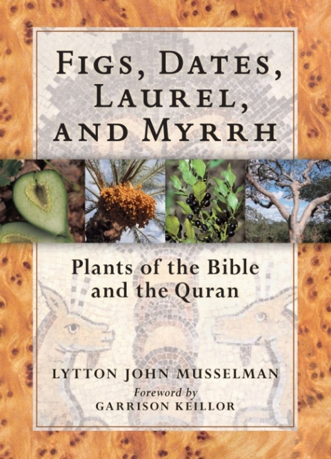 Cover image for book Figs, Dates, Laurel, and Myrrh