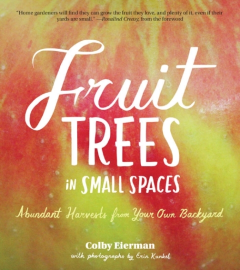 Cover image for book Fruit Trees in Small Spaces