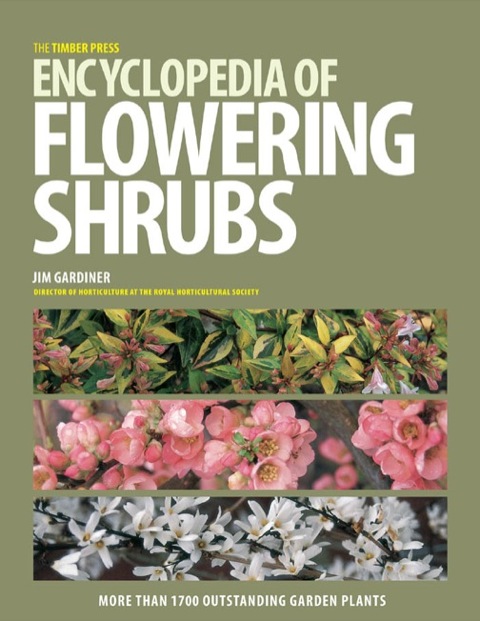 Cover image for book The Timber Press Encyclopedia of Flowering Shrubs