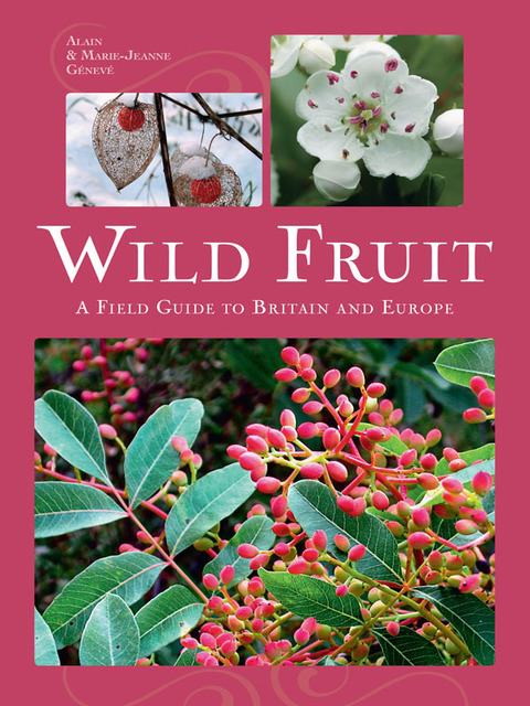 Cover image for book Wild Fruit