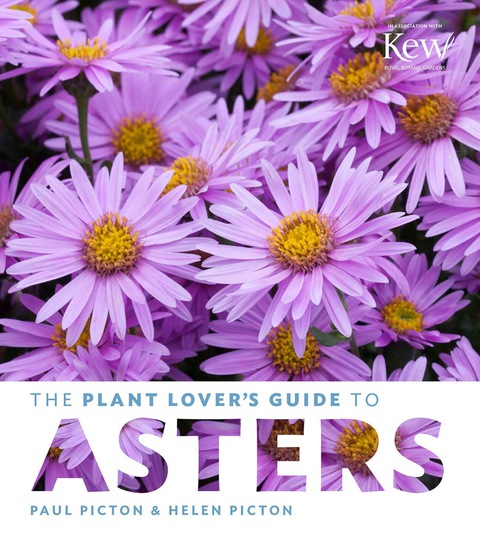 Cover image for book The Plant Lover's Guide to Asters