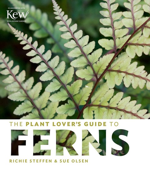 Cover image for book The Plant Lover's Guide to Ferns